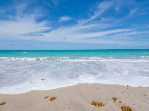 a view of a dry yard