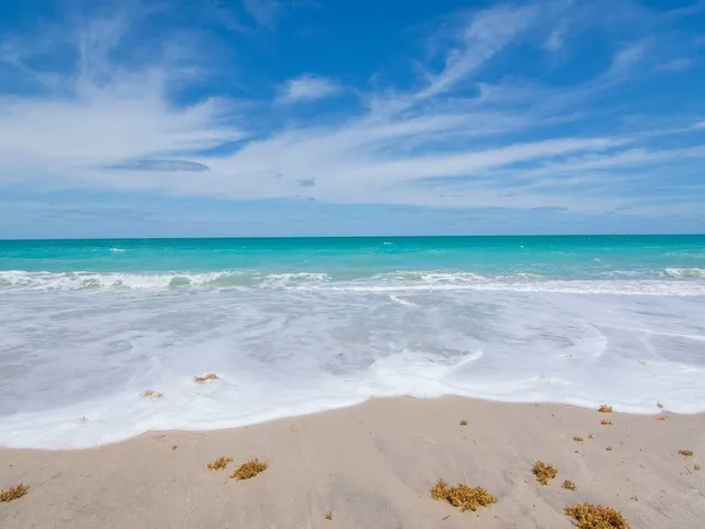 a view of a dry yard