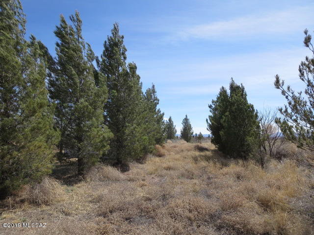 7170 North McBride Road McNeal, AZ 85617 - Photo 42 of 45