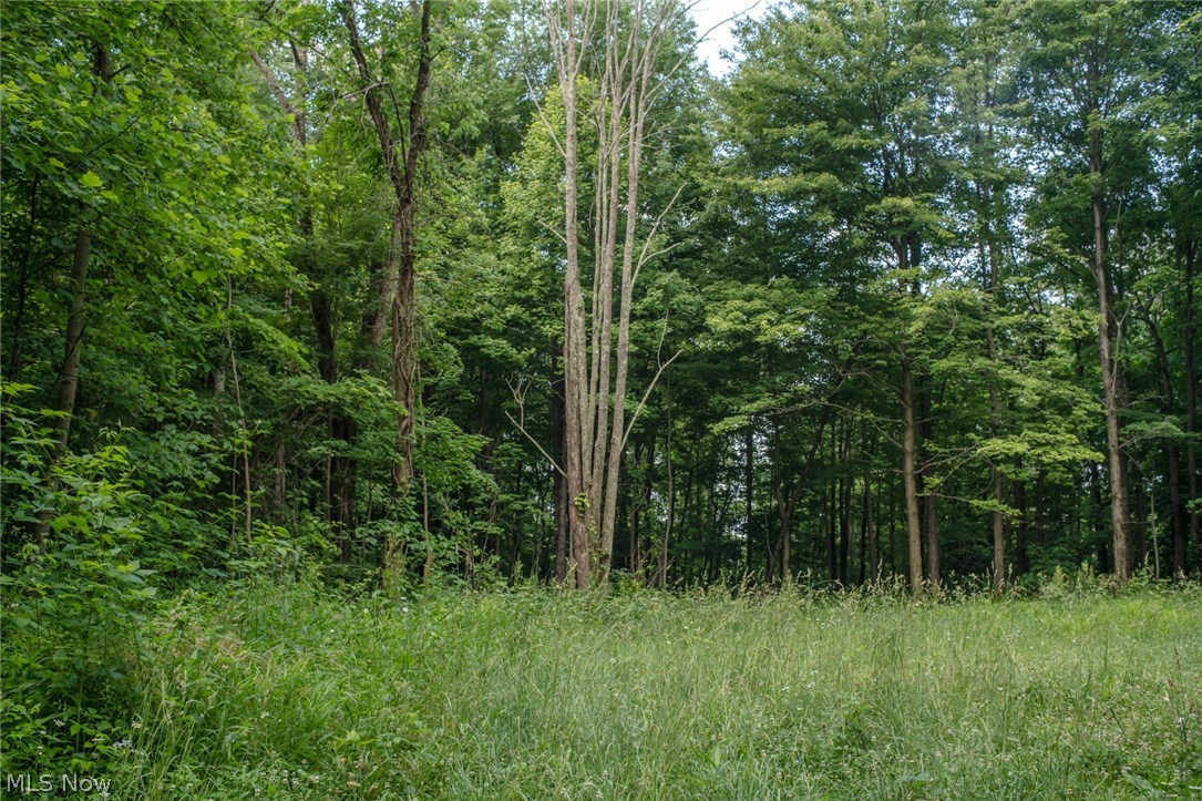 78600 Green Road Tippecanoe, OH 44699 - Photo 3 of 26 Gallery Image 3