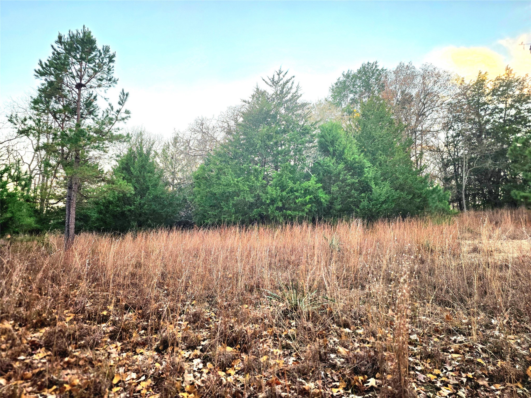 a view of lake with green space