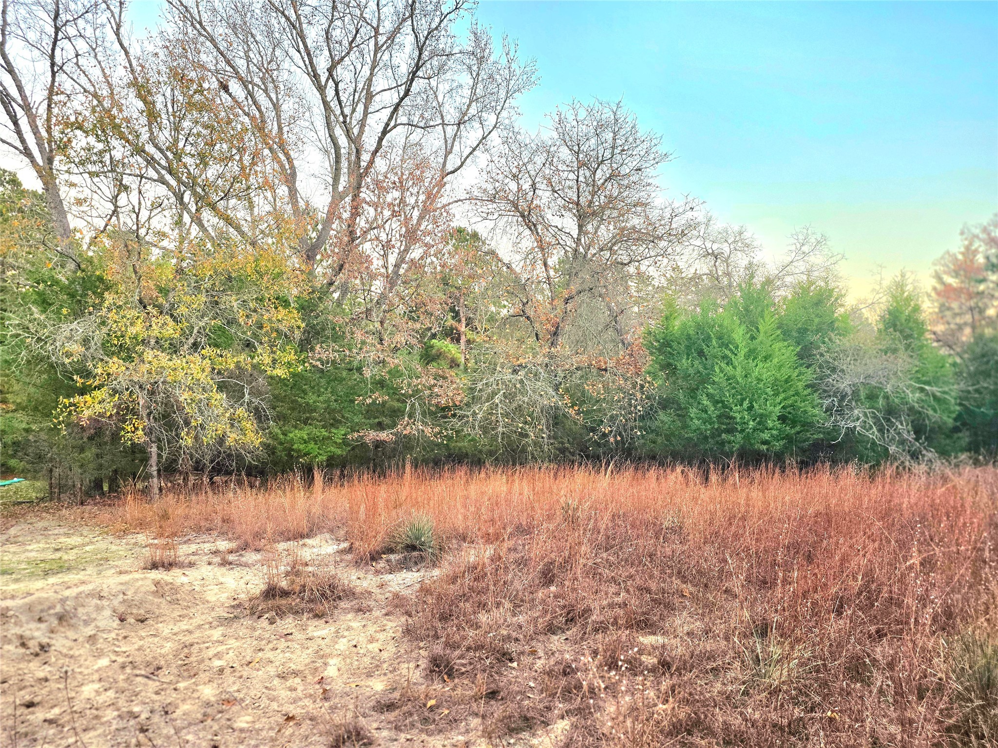 0 Mallard Way Larue, TX 75770 - Photo 12 of 41 a view of lake with a yard