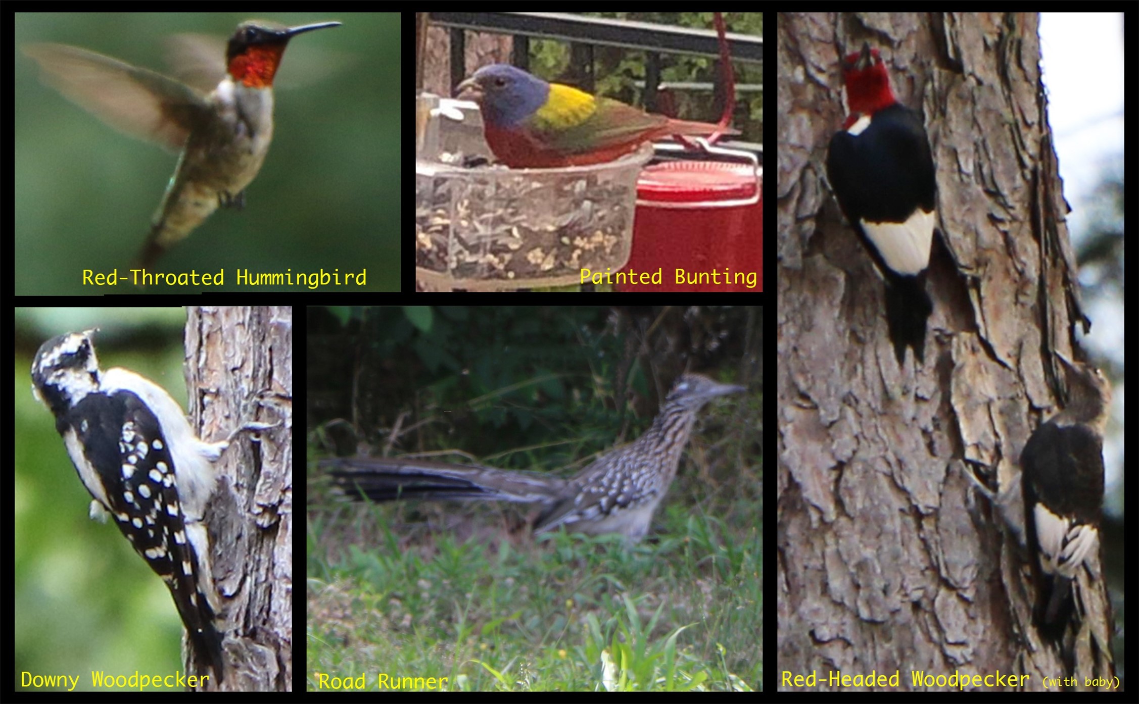 0 Mallard Way Larue, TX 75770 - Photo 41 of 41 unknown