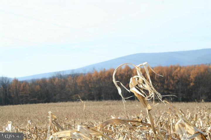 - Colonel Fetters Road Clearville, PA 15535 - Photo 12 of 25