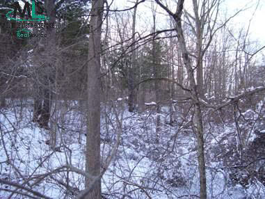 0 South Bartlett Road St. Clair, MI 48079 - Photo 5 of 12 877156-4.JPG