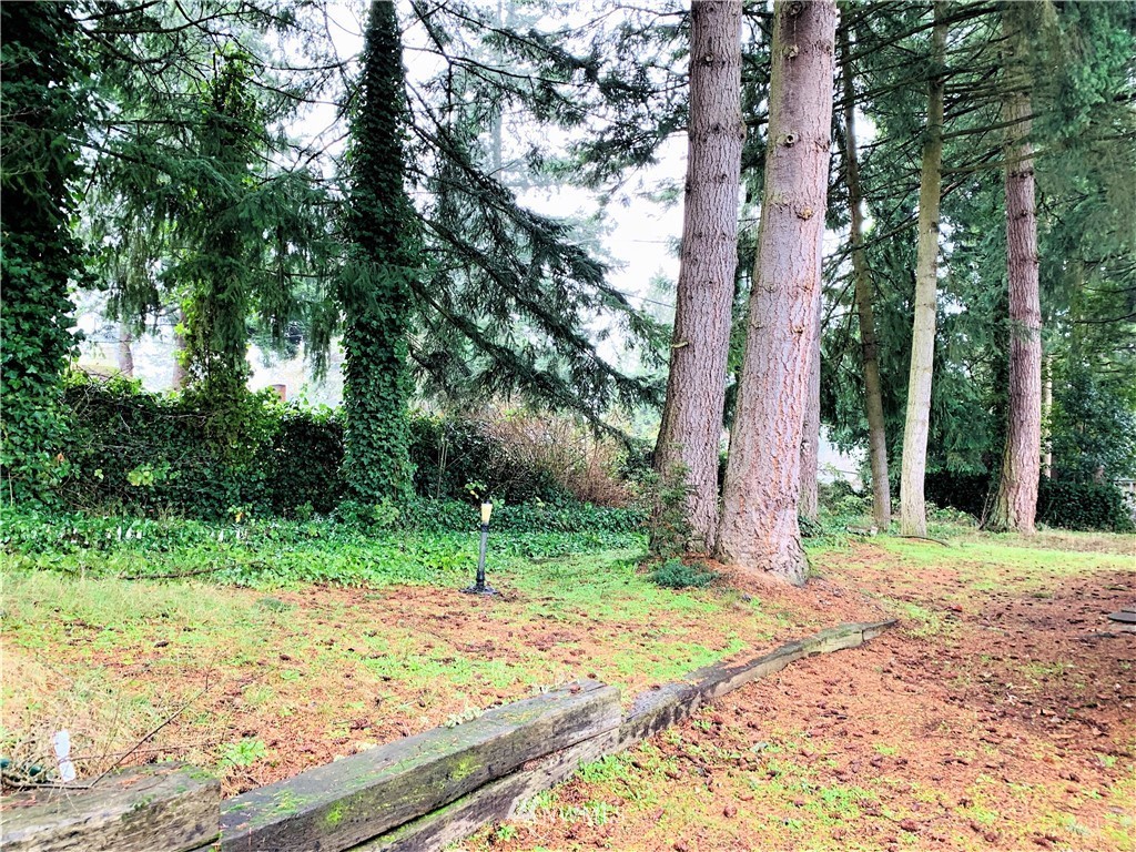 201 Union Avenue Southeast, Unit 239 Renton, WA 98059 - Photo 26 of 36