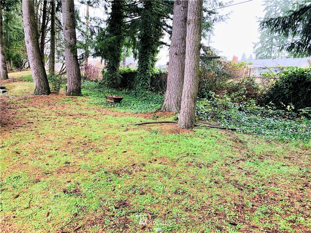 201 Union Avenue Southeast, Unit 239 Renton, WA 98059 - Photo 27 of 36