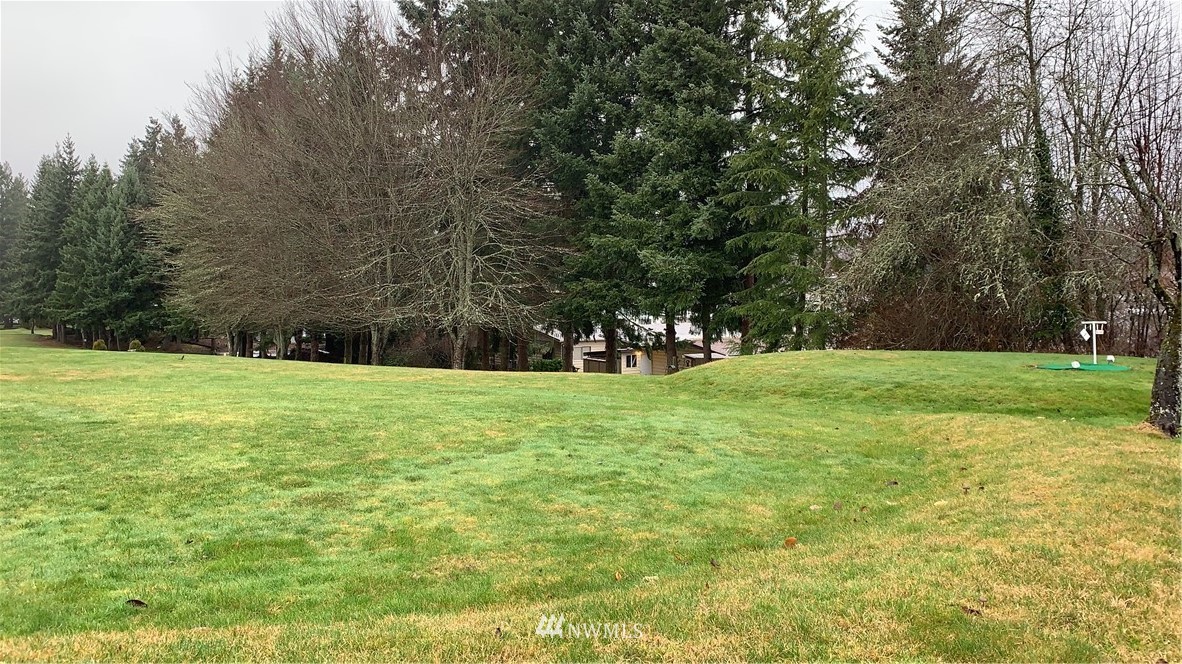 201 Union Avenue Southeast, Unit 239 Renton, WA 98059 - Photo 36 of 36