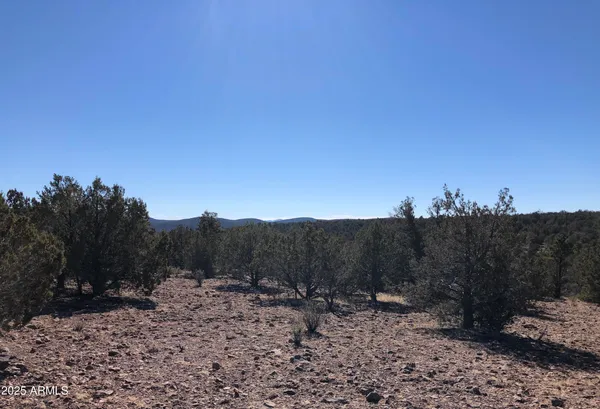 $23,947 | 8711 North High Mountain Road, Seligman, AZ 86337