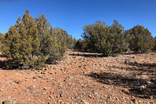 $24,947 | 8711 North High Mountain Road, Seligman, AZ 86337