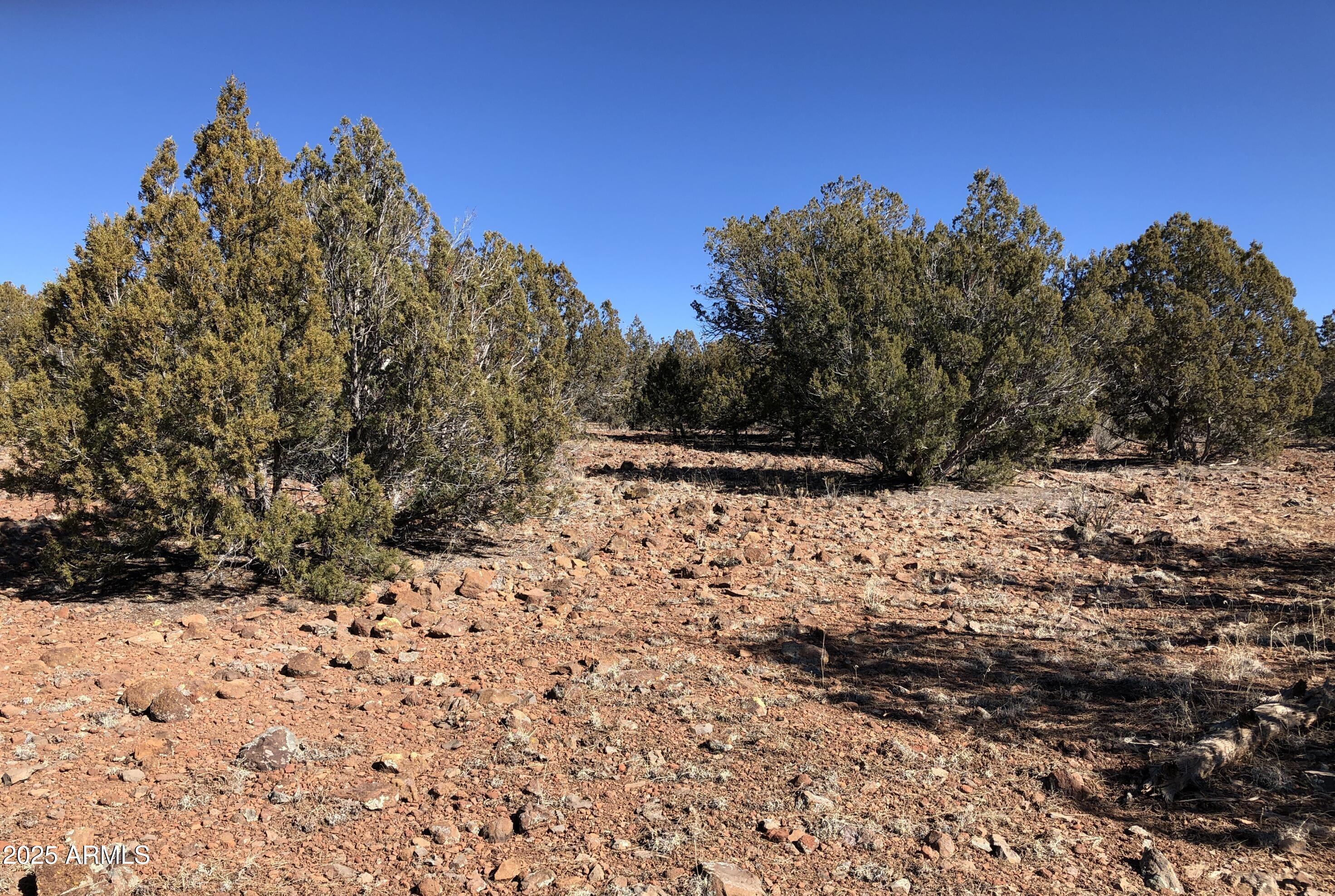 8711 North High Mountain Road Seligman, AZ 86337 - Photo 12 of 19 8711 N High Mountain RD