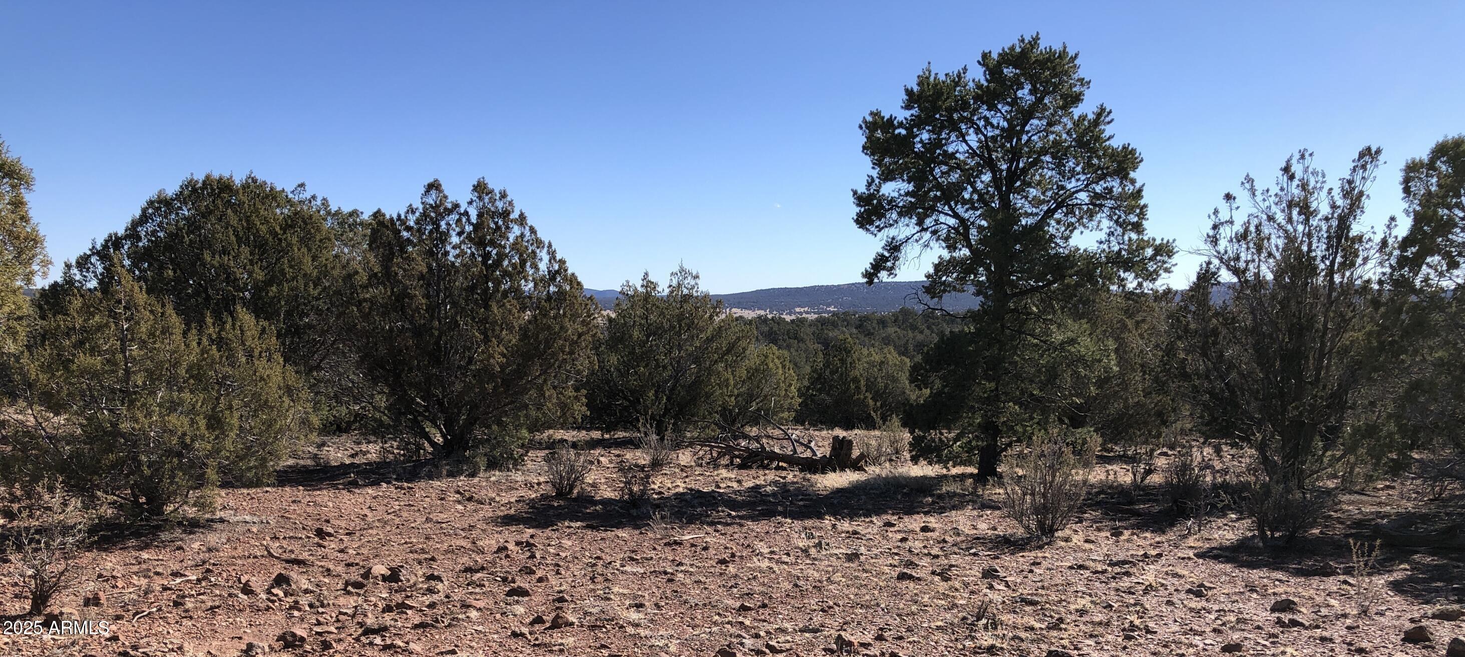 8711 North High Mountain Road Seligman, AZ 86337 - Photo 13 of 19 8711 N High Mountain RD