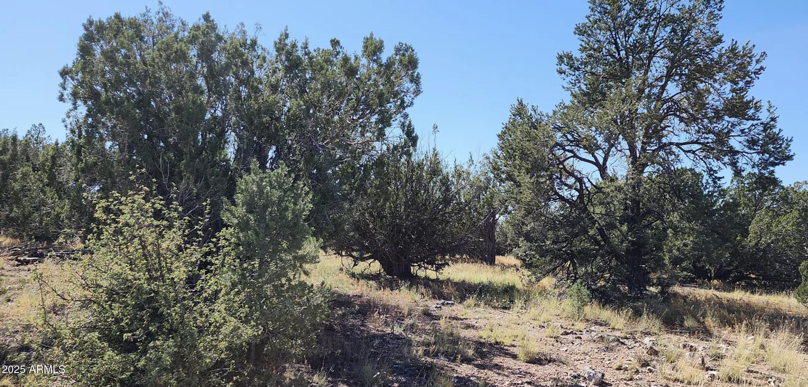 8711 North High Mountain Road Seligman, AZ 86337 - Photo 14 of 19 8711 N High Mountain RD