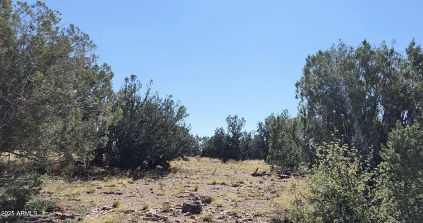 $23,947 | 8711 North High Mountain Road, Seligman, AZ 86337