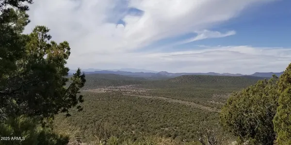 $23,947 | 8711 North High Mountain Road, Seligman, AZ 86337