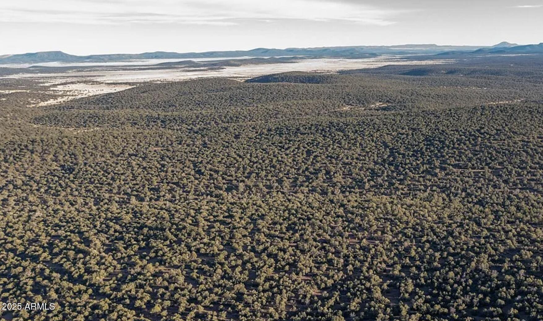 8711 North High Mountain Road Seligman, AZ 86337 - Photo 18 of 19 8711 N High Mountain RD