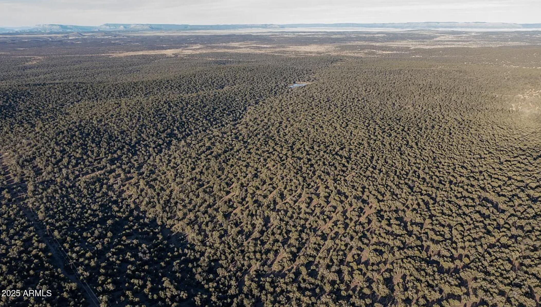 8711 North High Mountain Road Seligman, AZ 86337 - Photo 19 of 19 8711 N High Mountain RD