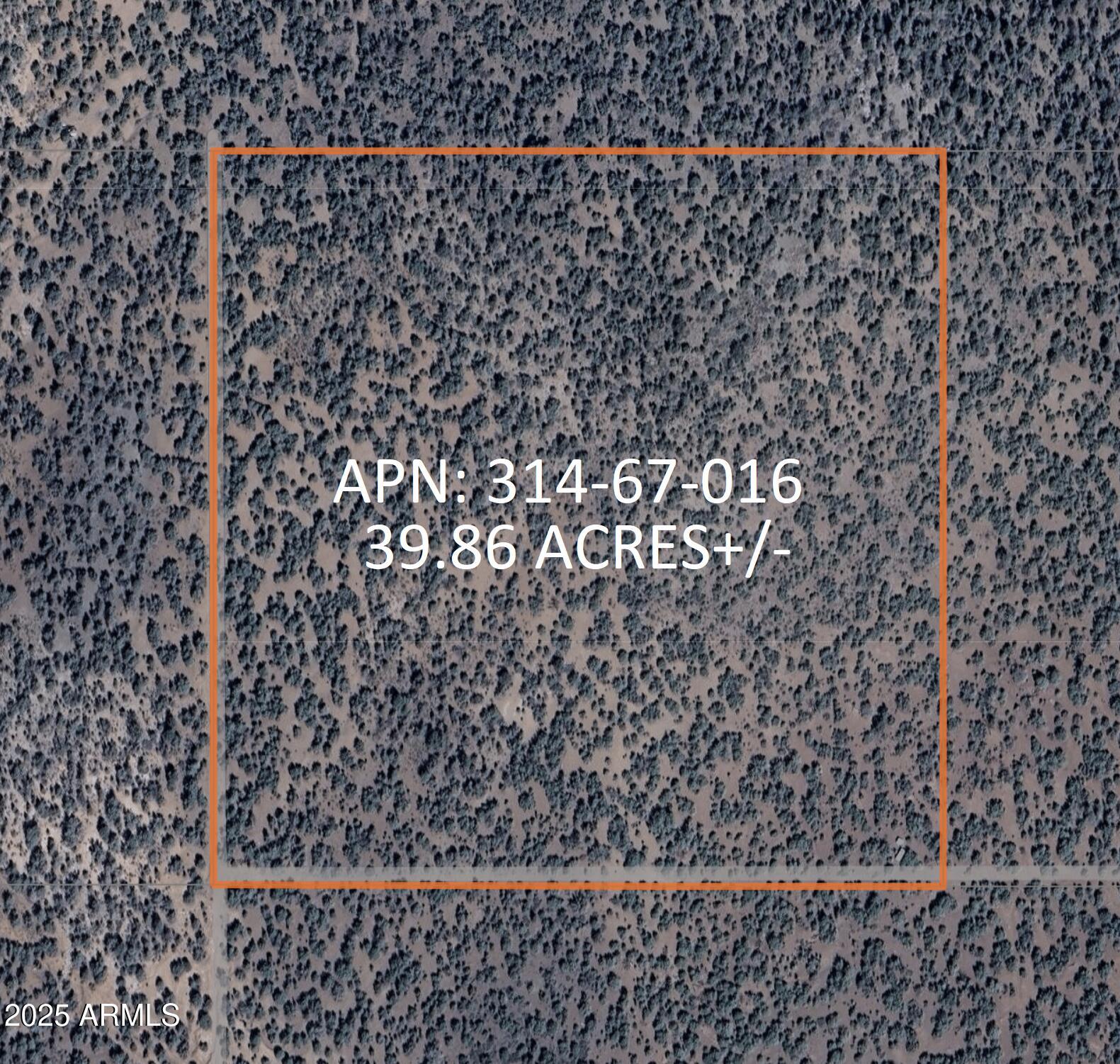 8711 North High Mountain Road Seligman, AZ 86337 - Photo 5 of 19 8711 N High Mountain RD