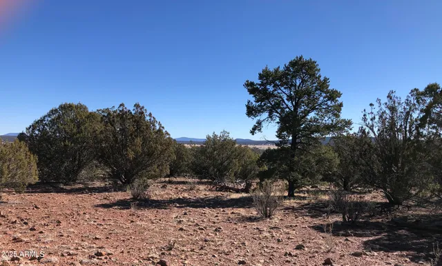 $24,947 | 8711 North High Mountain Road, Seligman, AZ 86337