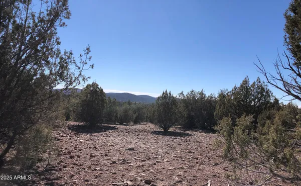 $23,947 | 8711 North High Mountain Road, Seligman, AZ 86337