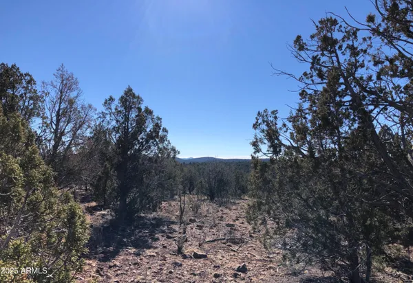 $23,947 | 8711 North High Mountain Road, Seligman, AZ 86337