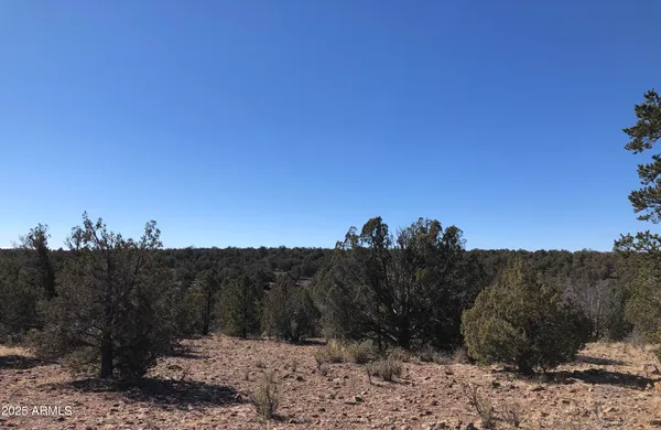$23,947 | 8711 North High Mountain Road, Seligman, AZ 86337