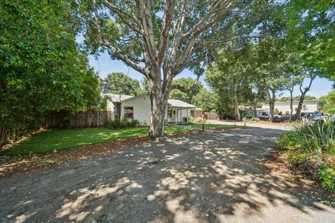 a view of a yard with a tree