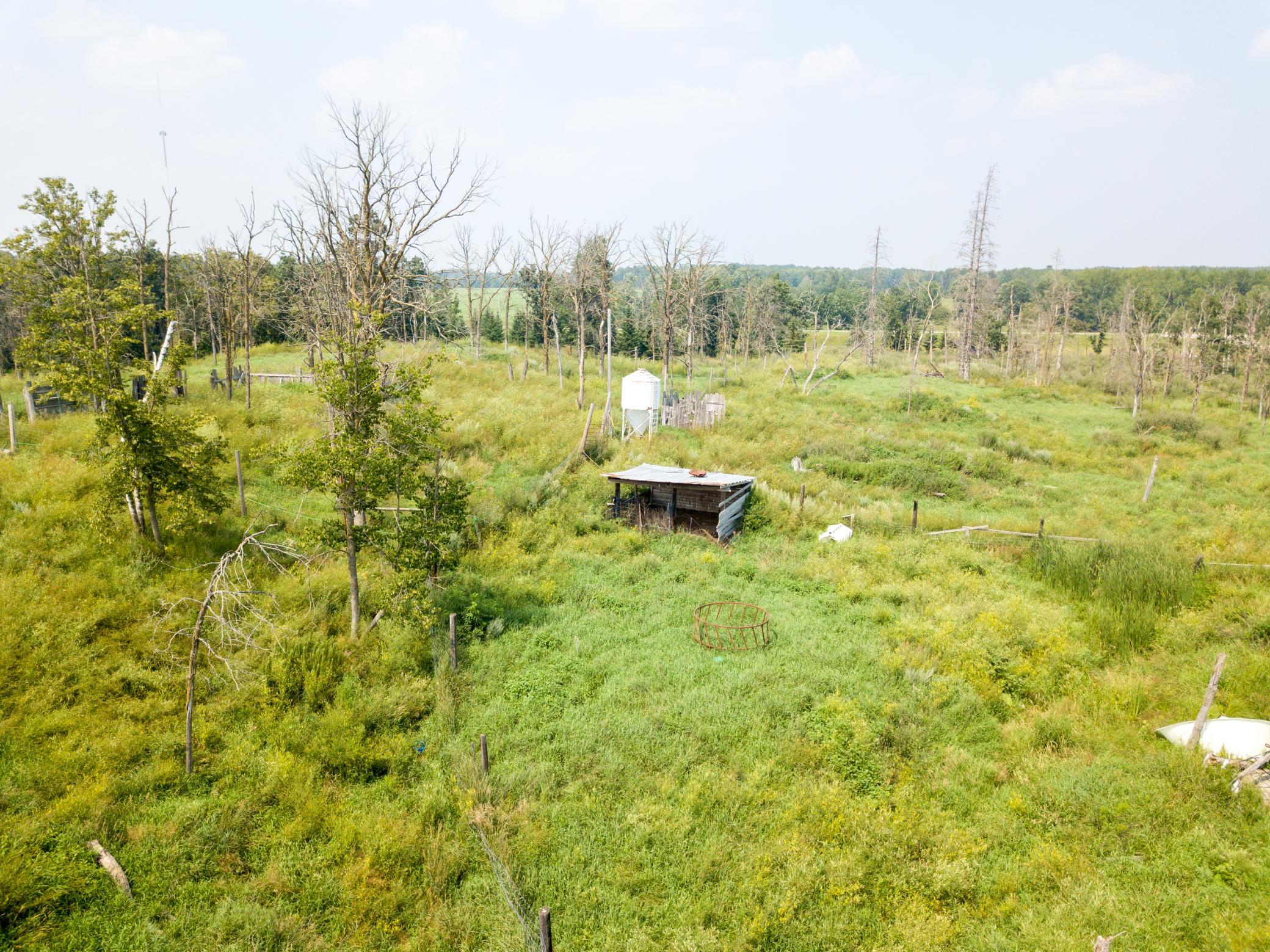 37901 County 91 Lake George, MN 56458 - Photo 11 of 20