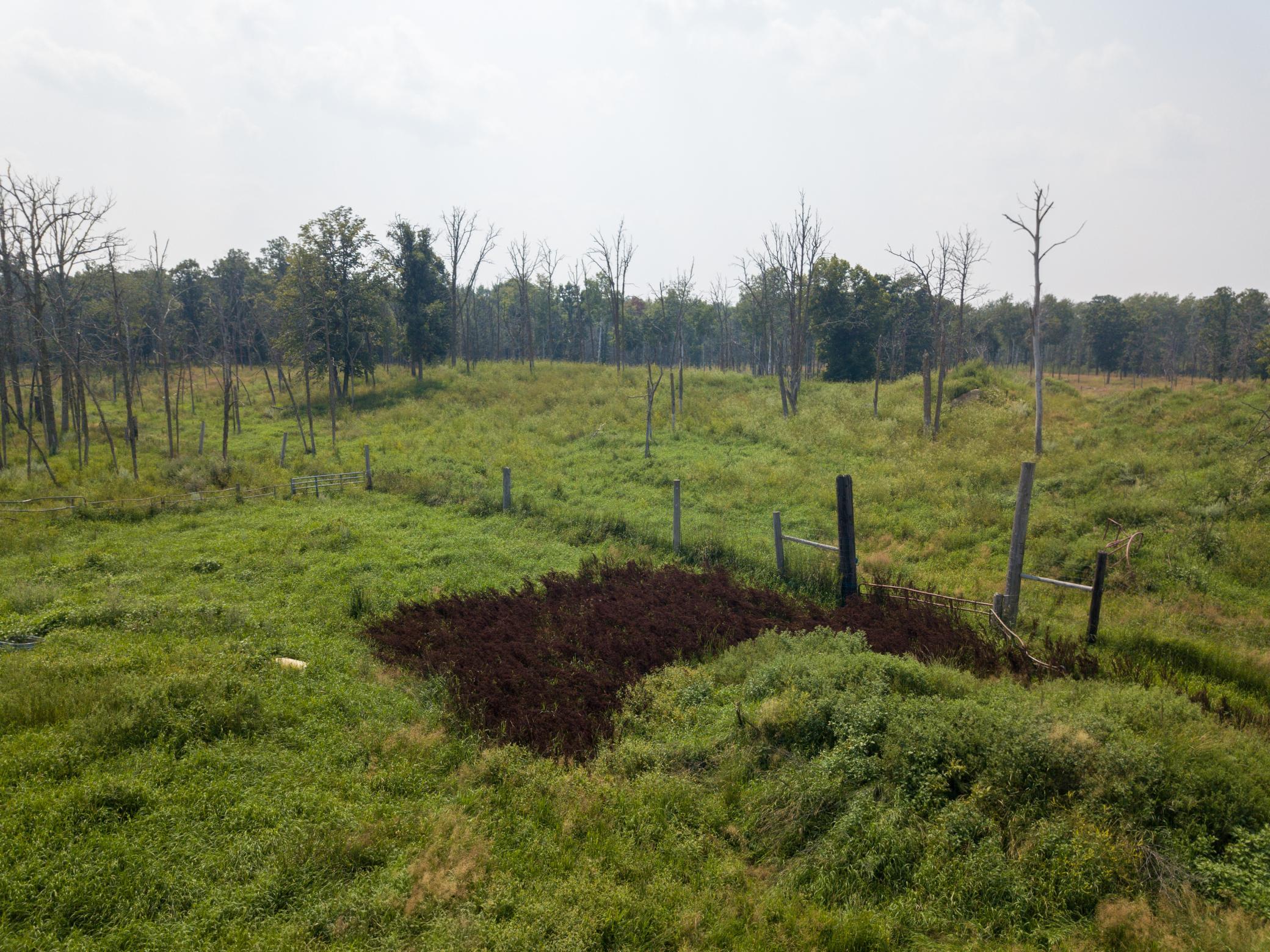 37901 County 91 Lake George, MN 56458 - Photo 10 of 20