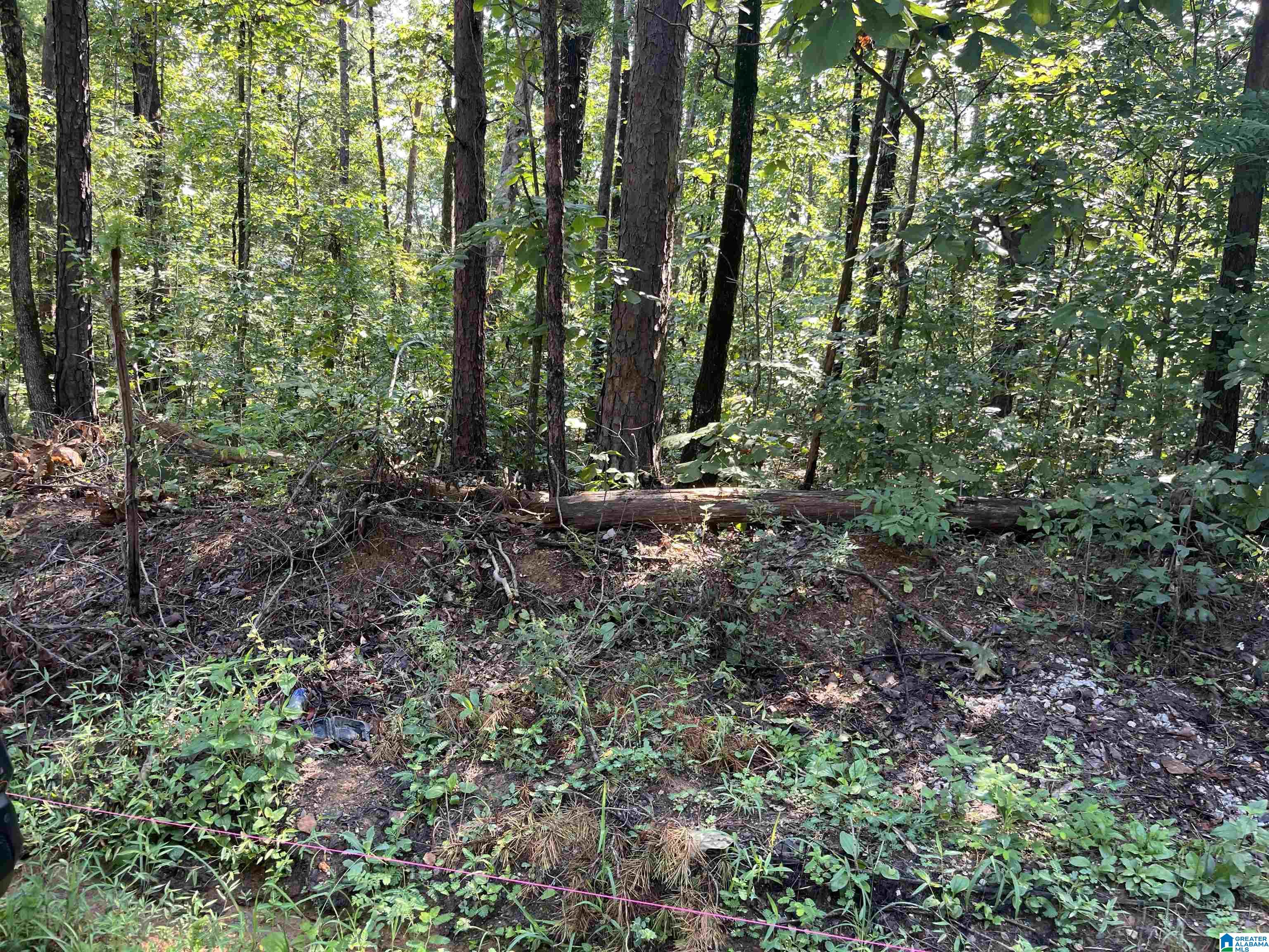 12745 Clyde Circle, Unit 5 McCalla, AL 35111 - Photo 2 of 5