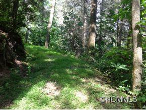 1744 Deep Gap Road Flat Rock, NC 28731 - Photo 10 of 24 Gallery Image 10