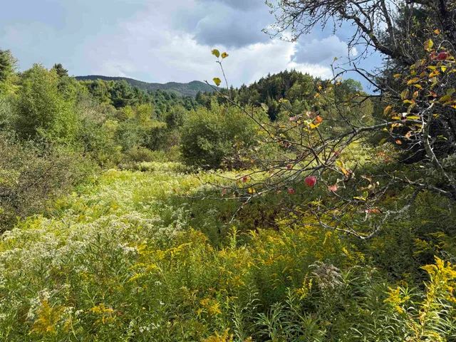 $359,000 | Lot 0 Darling Road, Morristown, VT 05661