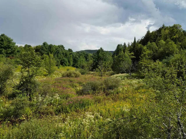 $359,000 | Lot 0 Darling Road, Morristown, VT 05661