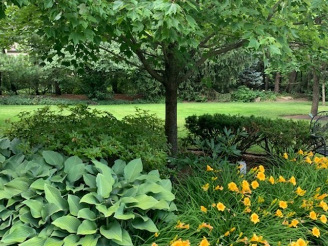 351 Wallace Road Lake Forest, IL 60045 - Photo 30 of 35 a view of a garden with a tree