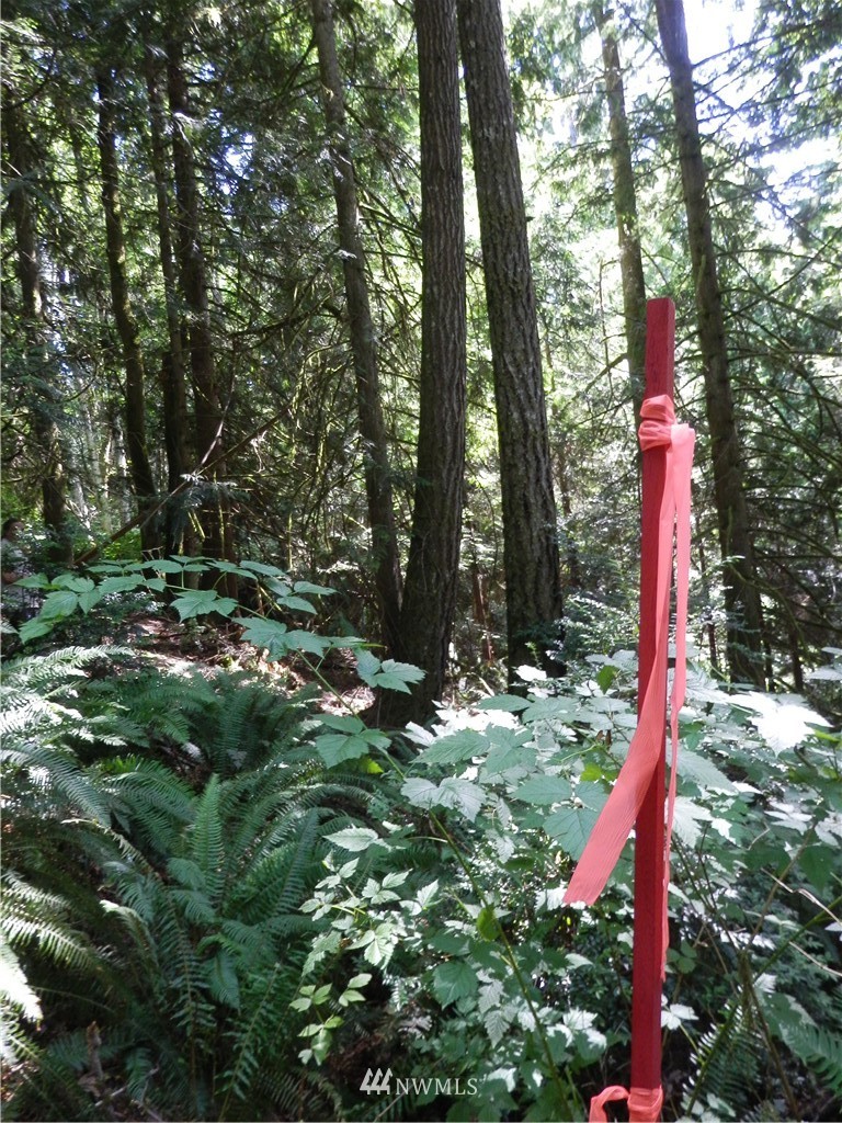 12857 A Olympic View Road Northwest Silverdale, WA 98383 - Photo 11 of 25 Gallery Image 11