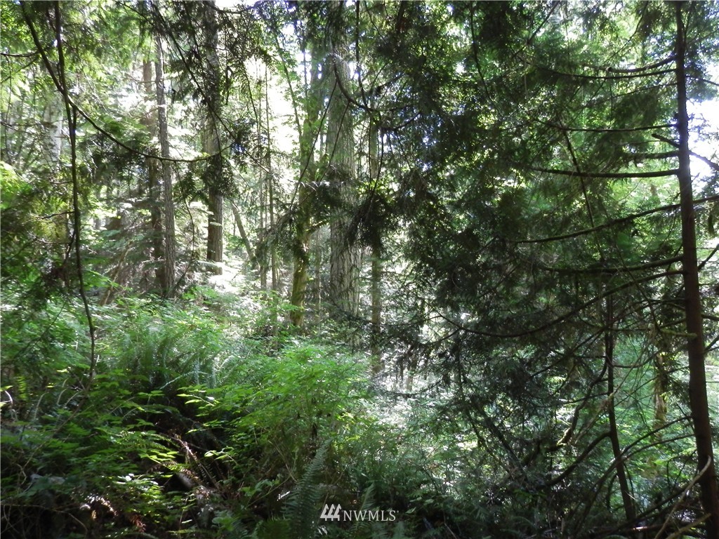 12857 A Olympic View Road Northwest Silverdale, WA 98383 - Photo 12 of 25 Gallery Image 12