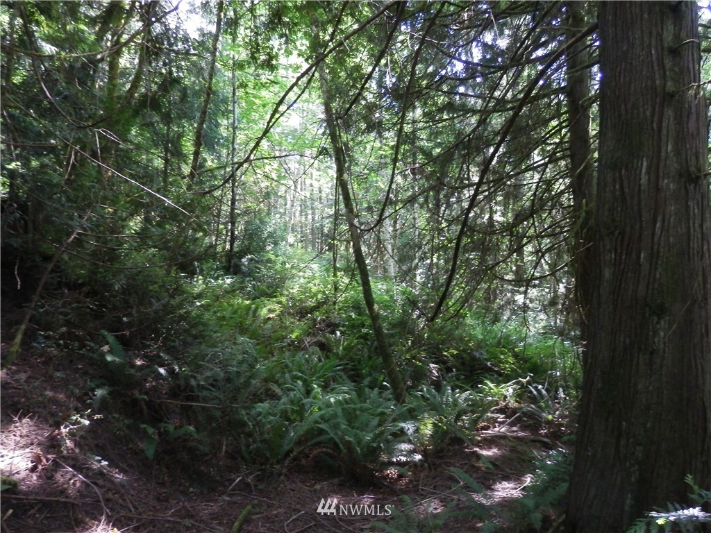 12857 A Olympic View Road Northwest Silverdale, WA 98383 - Photo 13 of 25 Gallery Image 13