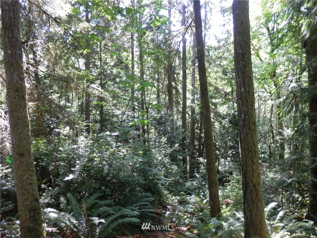 12857 A Olympic View Road Northwest Silverdale, WA 98383 - Photo 14 of 25 Gallery Image 14
