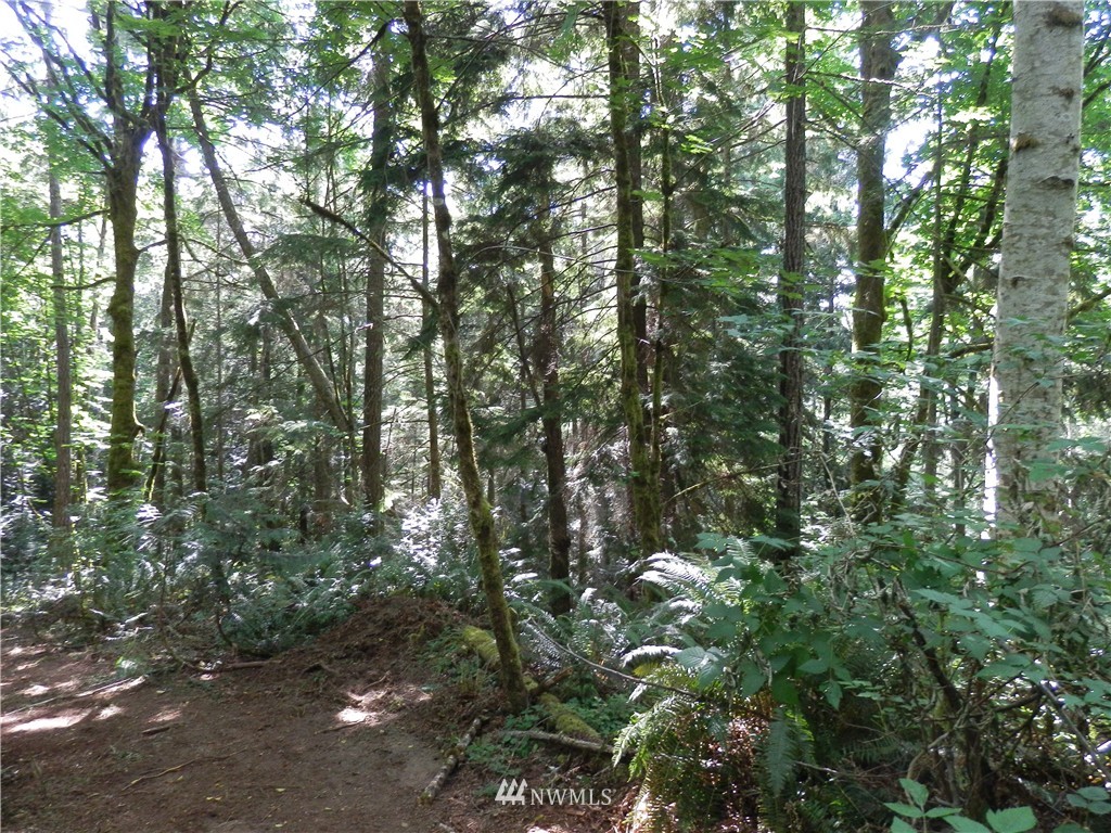 12857 A Olympic View Road Northwest Silverdale, WA 98383 - Photo 15 of 25 Gallery Image 15