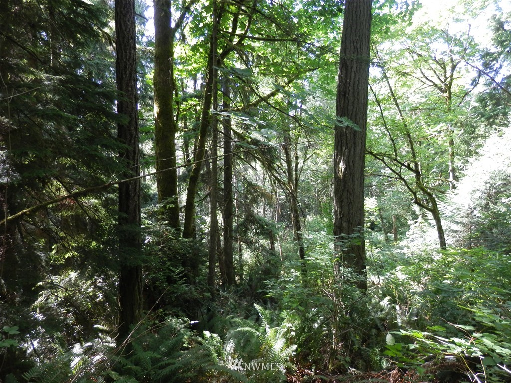 12857 A Olympic View Road Northwest Silverdale, WA 98383 - Photo 16 of 25 Gallery Image 16