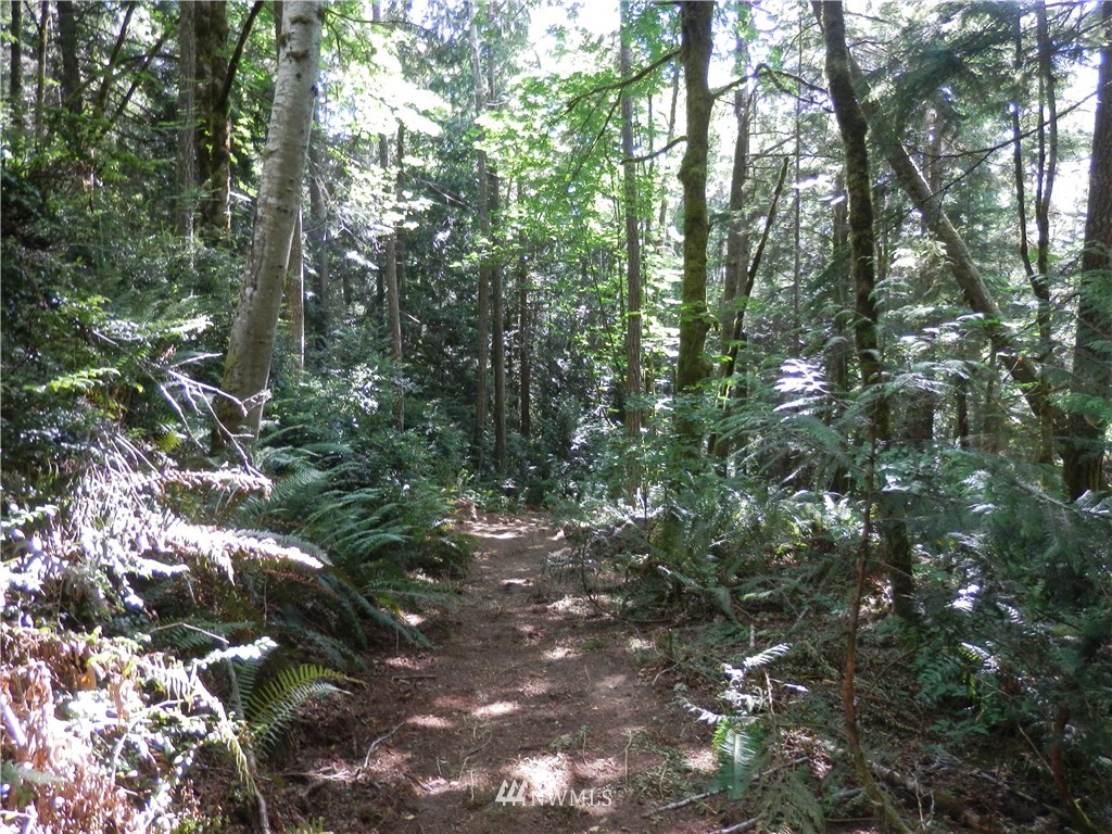 12857 A Olympic View Road Northwest Silverdale, WA 98383 - Photo 17 of 25 Gallery Image 17