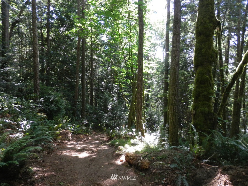 12857 A Olympic View Road Northwest Silverdale, WA 98383 - Photo 18 of 25 Gallery Image 18
