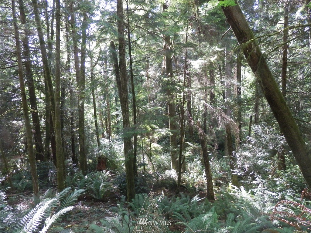 12857 A Olympic View Road Northwest Silverdale, WA 98383 - Photo 19 of 25 Gallery Image 19
