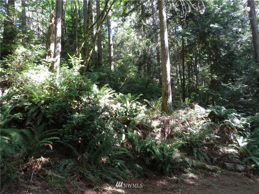 12857 A Olympic View Road Northwest Silverdale, WA 98383 - Photo 21 of 25 Gallery Image 21