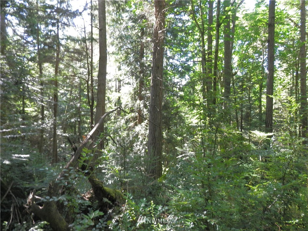 12857 A Olympic View Road Northwest Silverdale, WA 98383 - Photo 25 of 25 Gallery Image 25