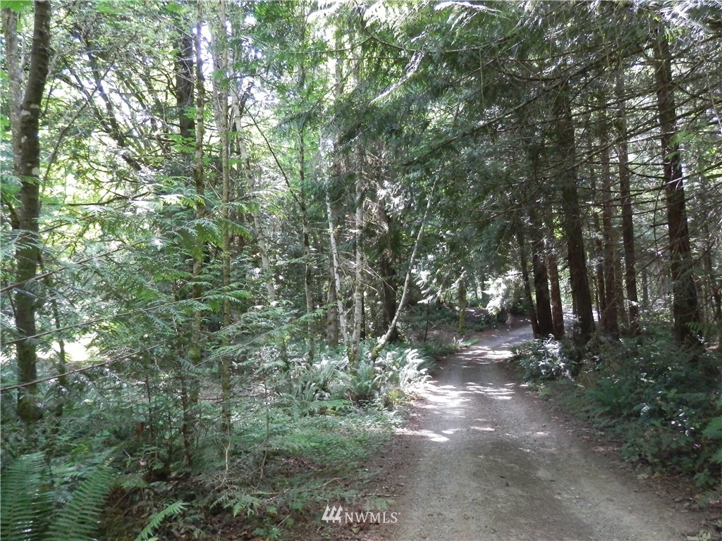 12857 A Olympic View Road Northwest Silverdale, WA 98383 - Photo 8 of 25 Gallery Image 8