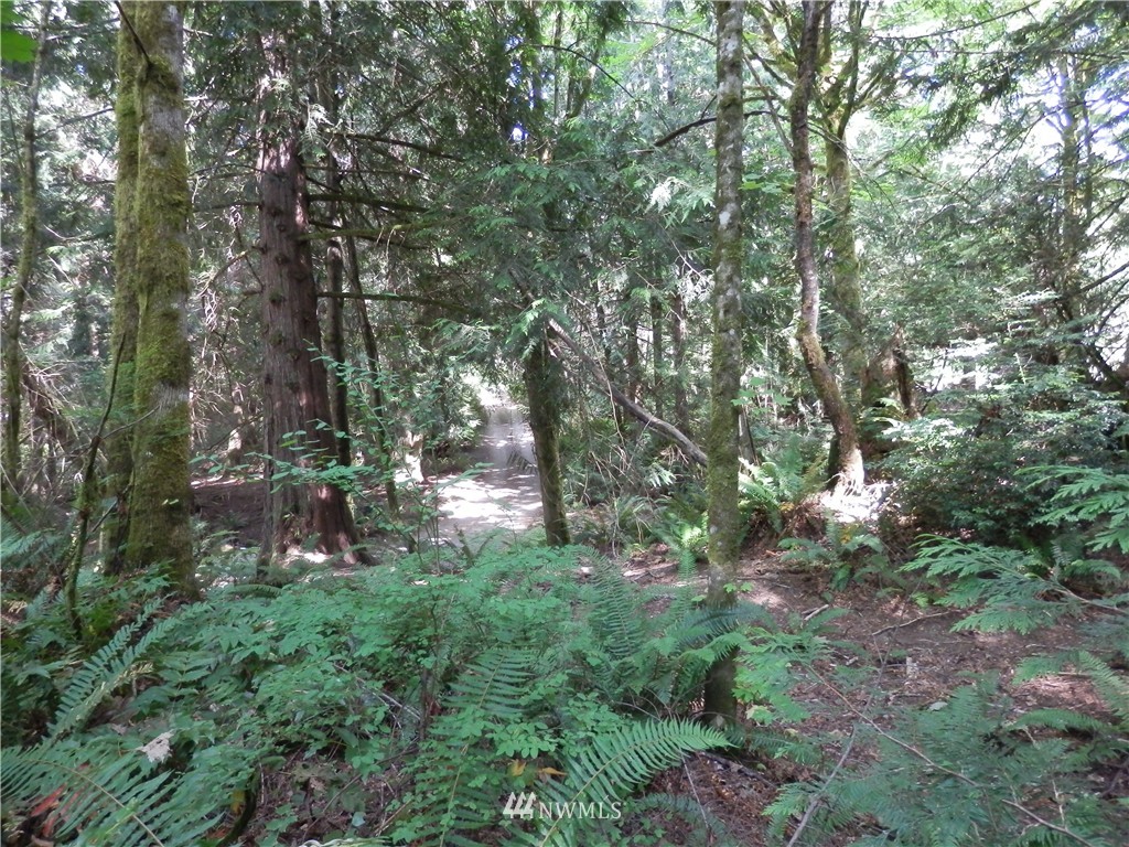 12857 A Olympic View Road Northwest Silverdale, WA 98383 - Photo 9 of 25 Gallery Image 9