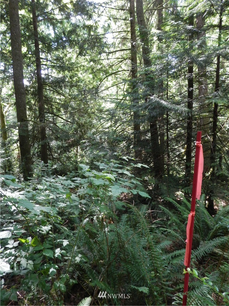 12857 A Olympic View Road Northwest Silverdale, WA 98383 - Photo 10 of 25 Gallery Image 10