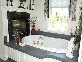 15087 Todd Road Petersburg, MI 49270 - Photo 15 of 17 860597-14.JPG