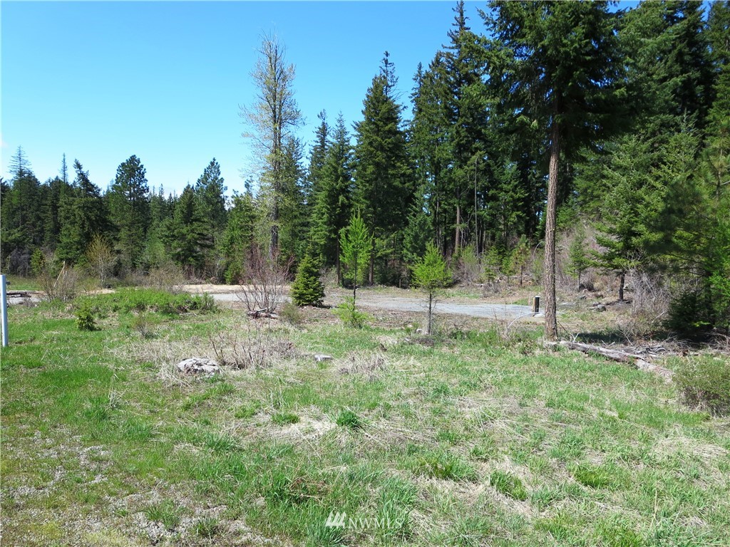 1101 Stone Ridge Drive Cle Elum, WA 98922 - Photo 1 of 17 Gallery Image 1